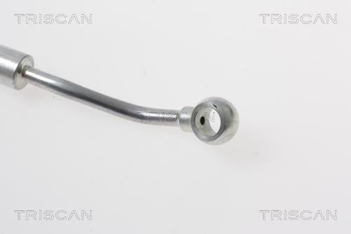 Flexible de frein (Durite de frein) Triscan A/S 8150 18173