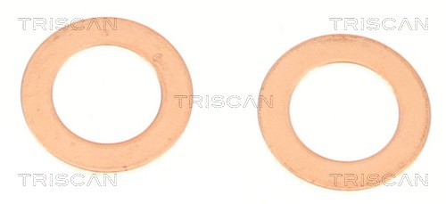 Flexible de frein (Durite de frein) Triscan A/S 8150 18193