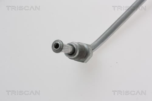 Flexível de travão Triscan A/S ref. 8150 18229