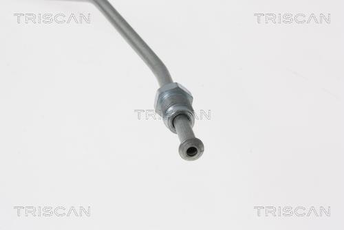Flexible de frein (Durite de frein) Triscan A/S 8150 20101