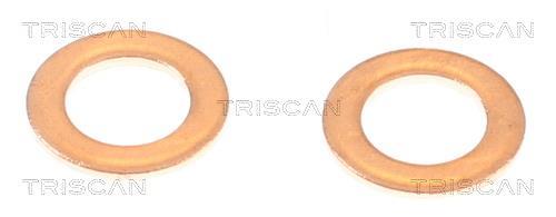 Flexível de travão Triscan A/S 8150 24157