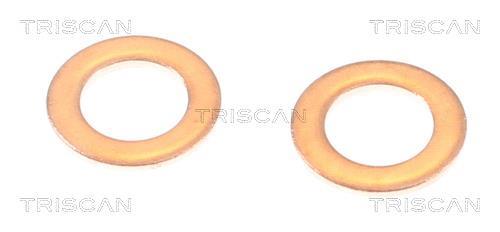 Flexible de frein (Durite de frein) Triscan A/S 8150 24158