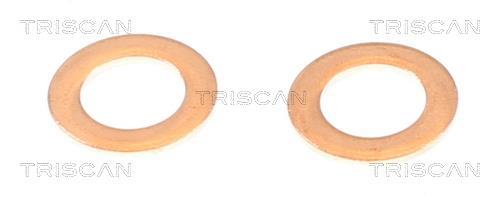 Flexible de frein (Durite de frein) Triscan A/S 8150 24159