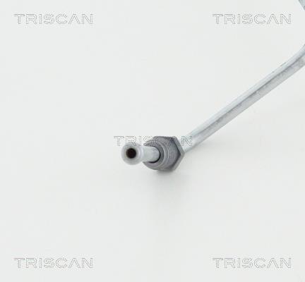 Flexible de frein (Durite de frein) Triscan A/S 8150 24217