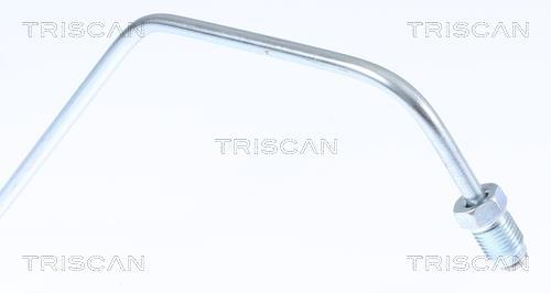 Flexible de frein (Durite de frein) Triscan A/S 8150 25275