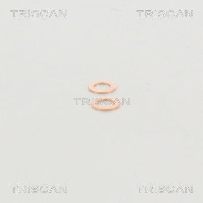 Flexible de frein (Durite de frein) Triscan A/S ref. 8150 29132