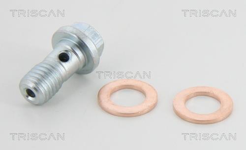 Flexível de travão Triscan A/S ref. 8150 29143
