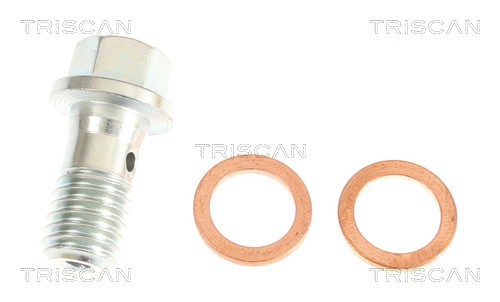 Flexible de frein (Durite de frein) Triscan A/S 8150 29164