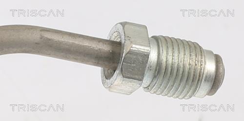 Flexível de travão Triscan A/S 8150 292021