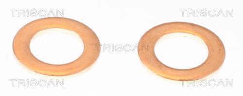 Flexible de frein (Durite de frein) Triscan A/S 8150 292026