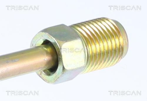 Flexível de travão Triscan A/S 8150 29268