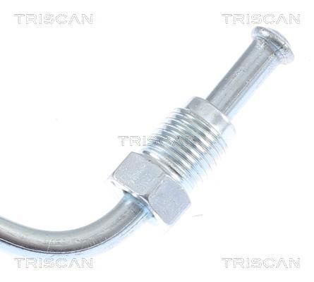 Flexible de frein (Durite de frein) Triscan A/S ref. 8150 29287