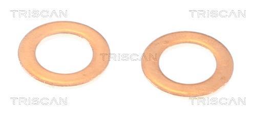 Flexible de frein (Durite de frein) Triscan A/S 8150 40182