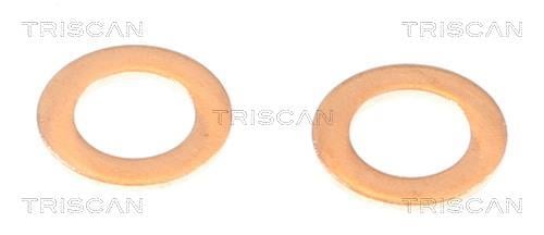 Flexible de frein (Durite de frein) Triscan A/S ref. 8150 42143