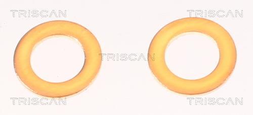Flexible de frein (Durite de frein) Triscan A/S 8150 42287