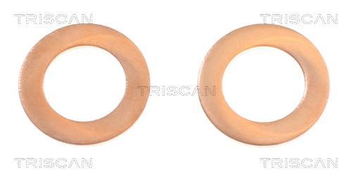 Flexible de frein (Durite de frein) Triscan A/S 8150 431011