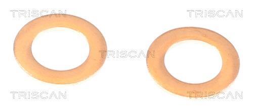 Flexible de frein (Durite de frein) Triscan A/S 8150 431014