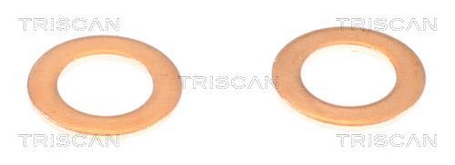 Flexible de frein (Durite de frein) Triscan A/S 8150 431016