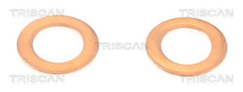 Flexível de travão Triscan A/S ref. 8150 431020