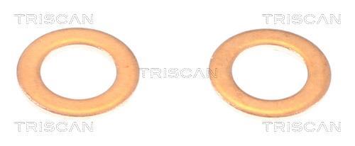 Flexível de travão Triscan A/S ref. 8150 431021