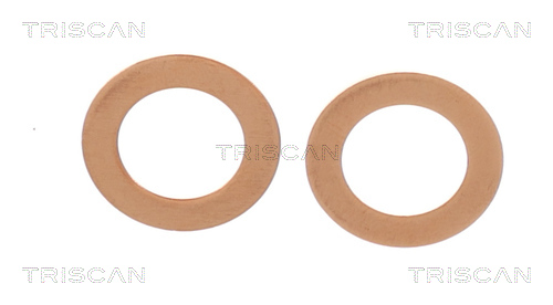 Flexible de frein (Durite de frein) Triscan A/S 8150 431025