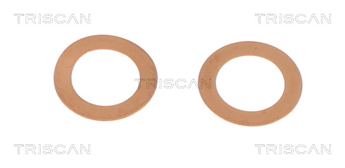 Flexible de frein (Durite de frein) Triscan A/S 8150 431026