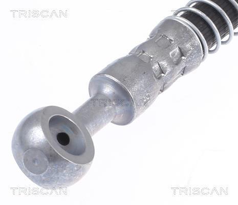Flexível de travão Triscan A/S ref. 8150 43165
