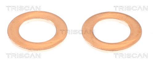Flexível de travão Triscan A/S 8150 432013