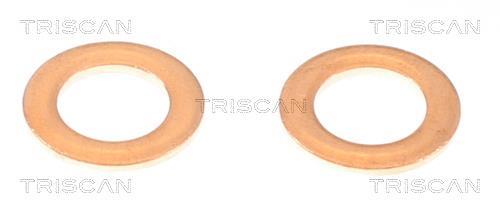 Flexible de frein (Durite de frein) Triscan A/S 8150 432015