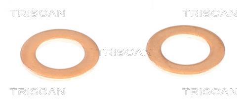 Flexible de frein (Durite de frein) Triscan A/S ref. 8150 432016