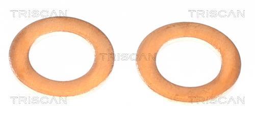 Flexible de frein (Durite de frein) Triscan A/S 8150 432021