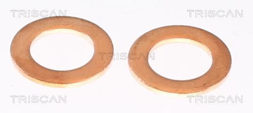 Flexible de frein (Durite de frein) Triscan A/S 8150 432022