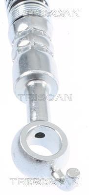 Flexível de travão Triscan A/S ref. 8150 43242