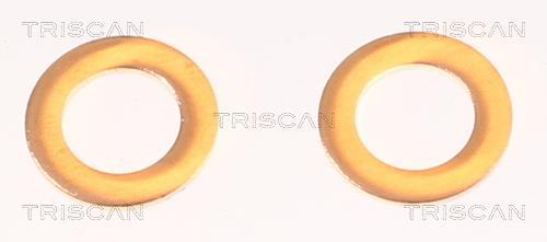 Flexible de frein (Durite de frein) Triscan A/S 8150 50141