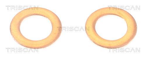 Flexible de frein (Durite de frein) Triscan A/S ref. 8150 50144