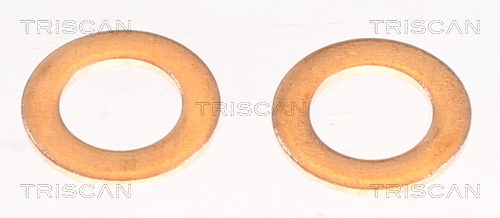 Flexible de frein (Durite de frein) Triscan A/S 8150 68130