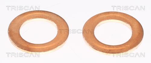Flexible de frein (Durite de frein) Triscan A/S 8150 68264