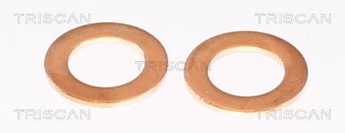 Flexible de frein (Durite de frein) Triscan A/S 8150 80126