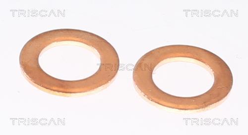 Flexible de frein (Durite de frein) Triscan A/S 8150 80127
