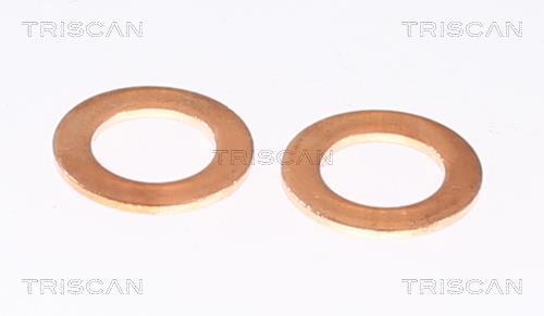 Flexible de frein (Durite de frein) Triscan A/S 8150 80219