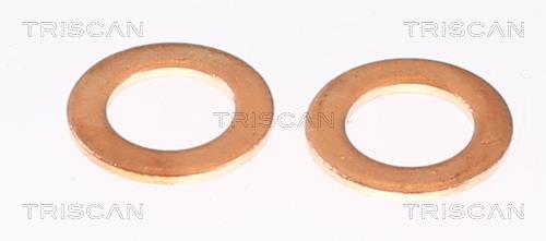 Flexible de frein (Durite de frein) Triscan A/S 8150 80220