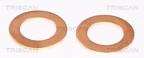 Flexible de frein (Durite de frein) Triscan A/S 8150 80221