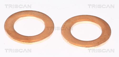 Flexible de frein (Durite de frein) Triscan A/S 8150 80222