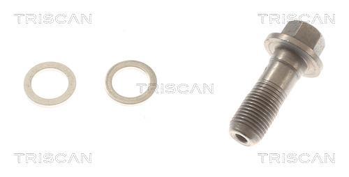 Flexible de frein (Durite de frein) Triscan A/S 8150 81006