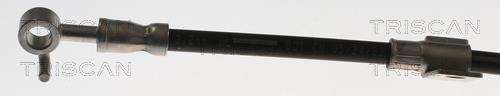 Flexible de frein (Durite de frein) Triscan A/S 8150 82006