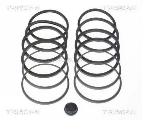 Kit de réparation d'étrier de frein Triscan A/S ref. 8170 204602