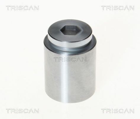 Triscan A/S Piston, étrier de frein pour VOLKSWAGEN: Golf, Jetta & AUDI: 100, Quattro, 90, 200, 80, Coupé & FIAT: Croma (Ref: 8170 233604)