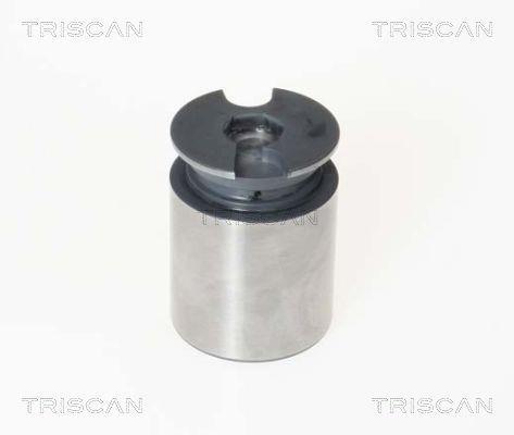 Piston, étrier de frein Triscan A/S ref. 8170 233863