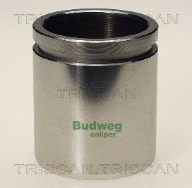 Piston, étrier de frein Triscan A/S ref. 8170 234831