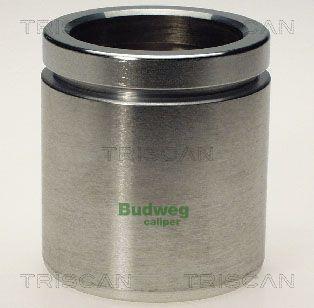 Piston, étrier de frein Triscan A/S ref. 8170 235461